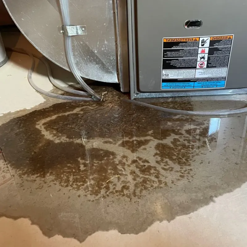 Pipe Burst and Leak Restoration in South Pekin, IL